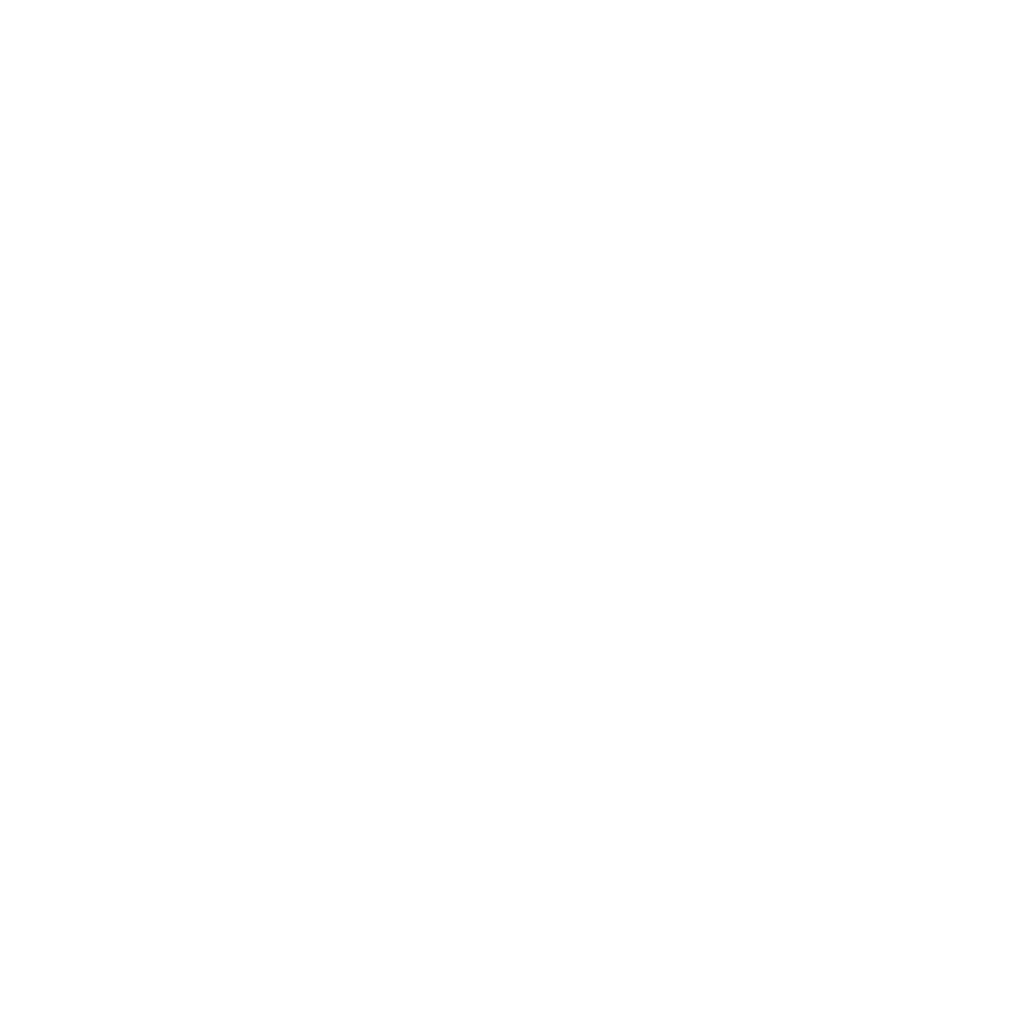Ronan Fox Logo